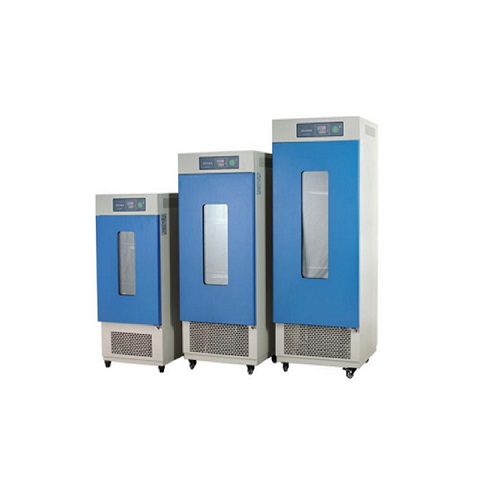 霉菌培养箱